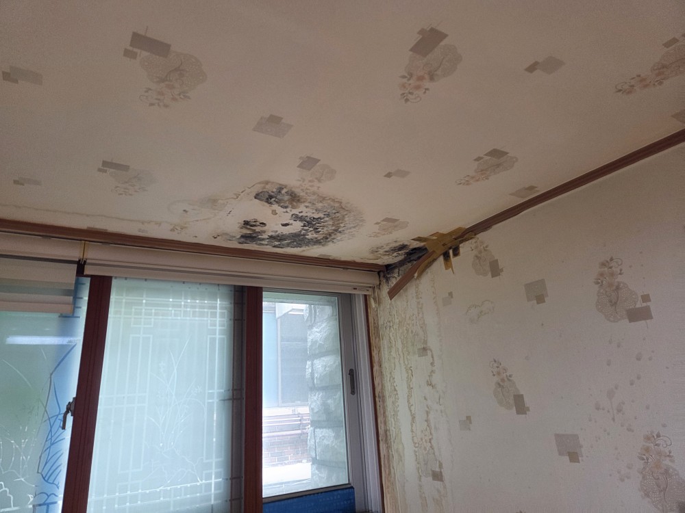 부천 아파트 벽지 곰팡이 발생, 정밀 누수탐지로 원인 해결