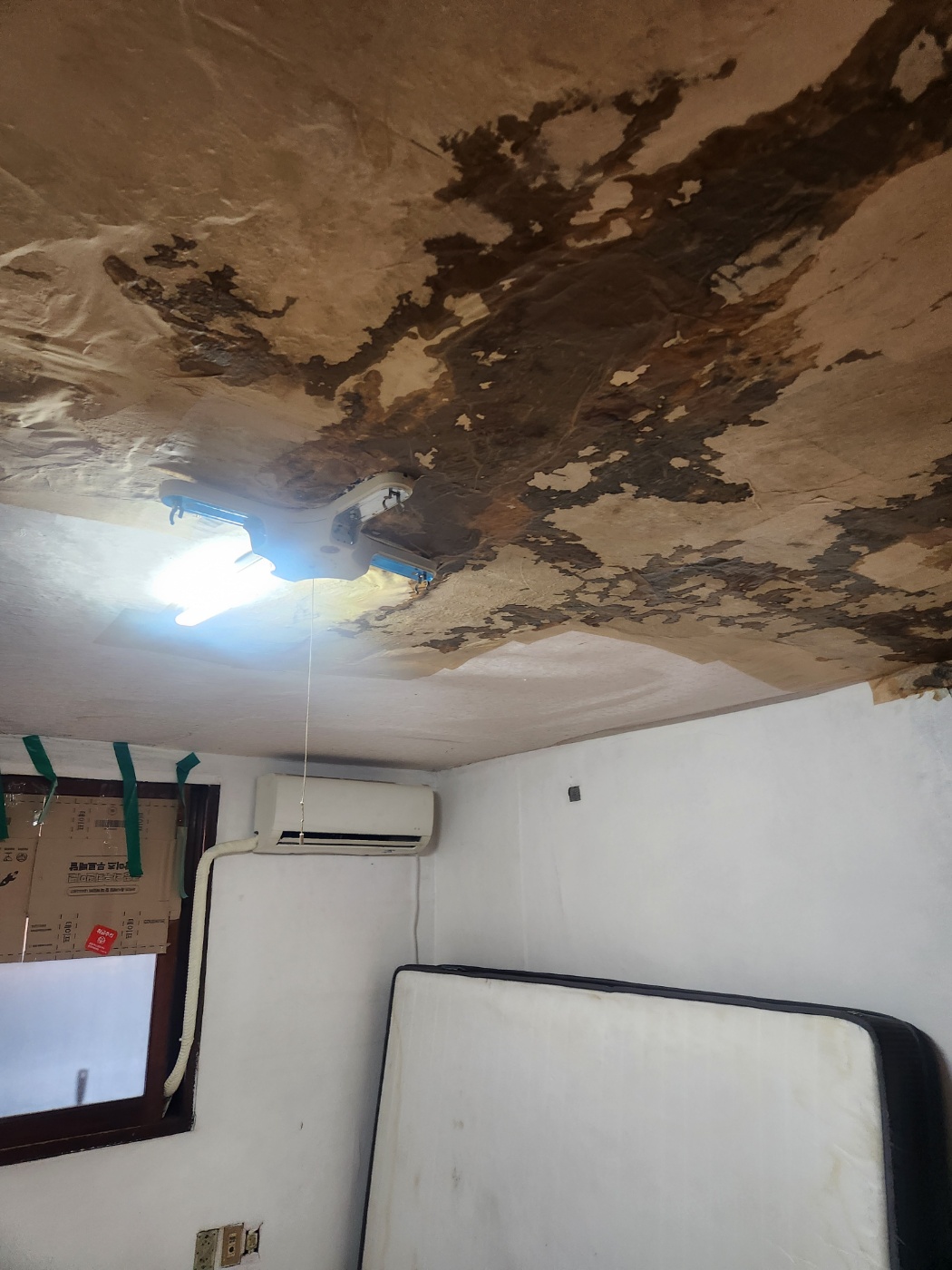 관악구 신림 주택 벽지 곰팡이 피해 누수탐지와 방수 공사